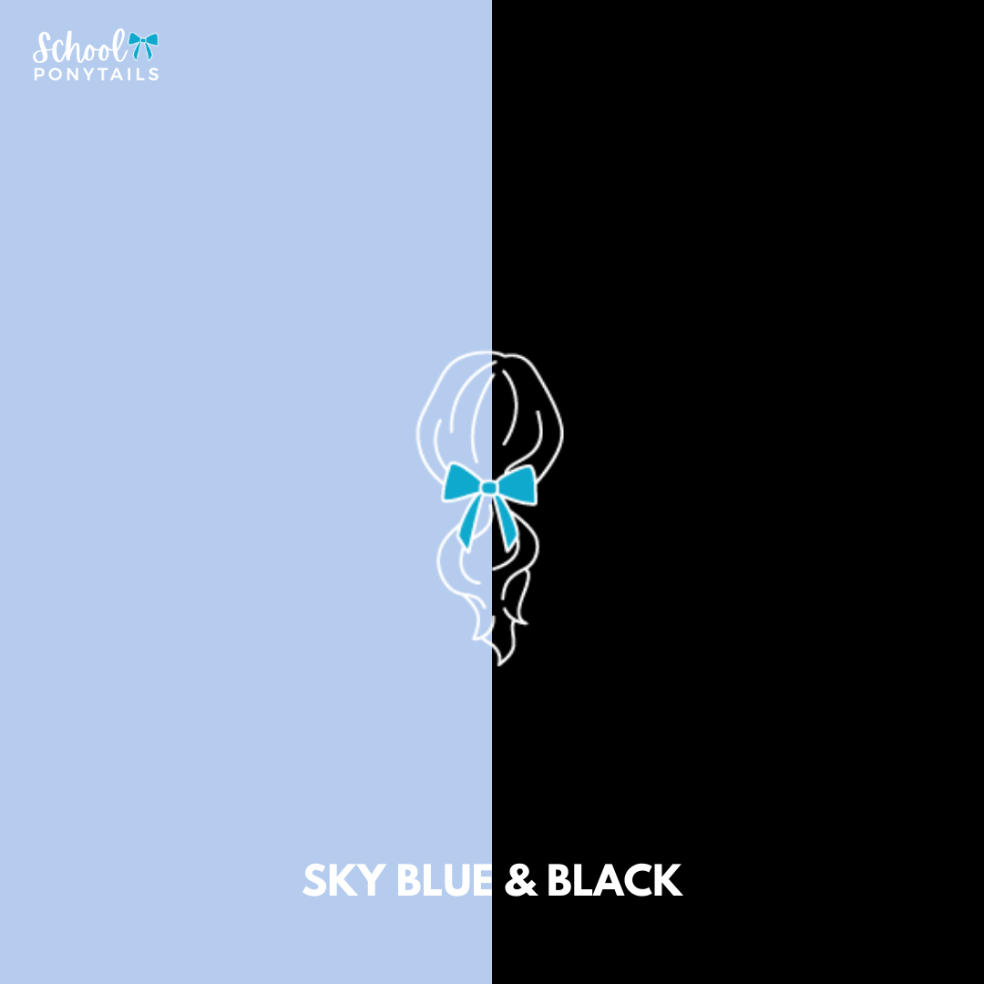 Black & Sky Blue Hair Accessories