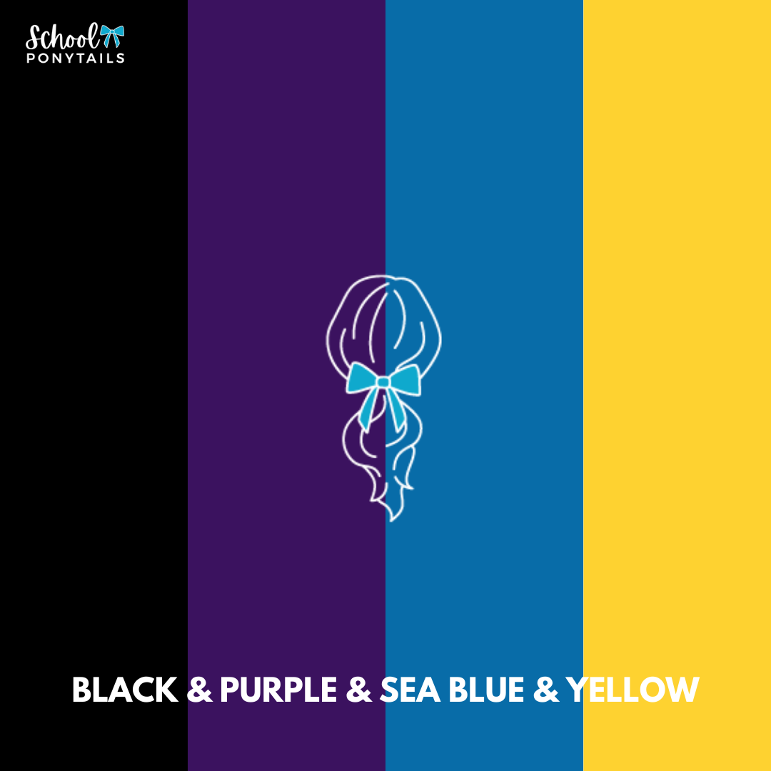 Black & Yellow & Purple & Sea Blue Hair Accessories