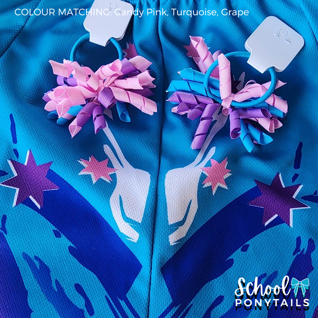 Candy Pink & Turquoise & Grape Hair Accessories