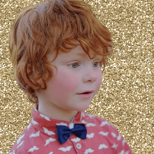 Bowties for Boys - Glittery - Ponytails and Fairytales