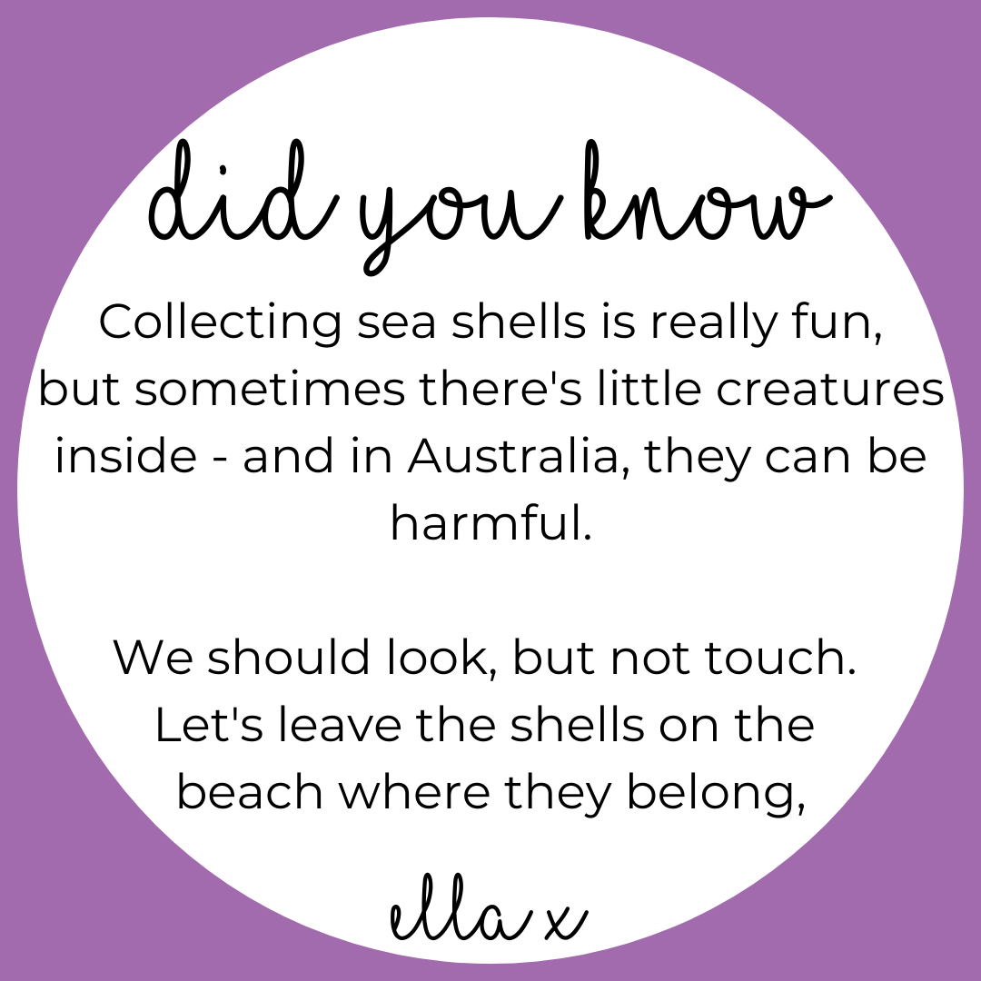 Limited Edition: Sea Shells Covered Buttons Hair clips Ella Made 