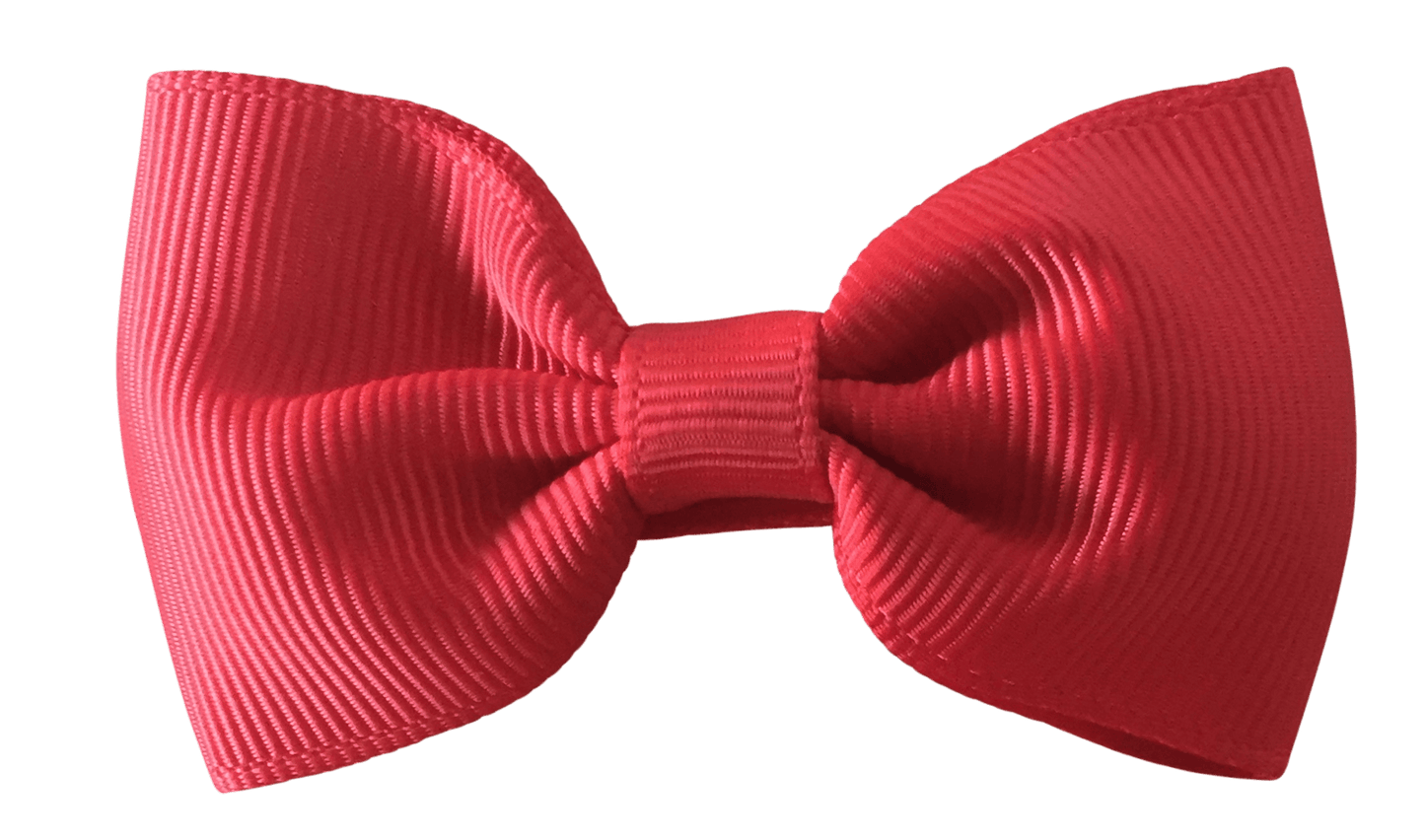 Perfect party favours for little girls' and boys' parties (10pc) - Bow Ties - School Uniform Hair Accessories - Ponytails and Fairytales